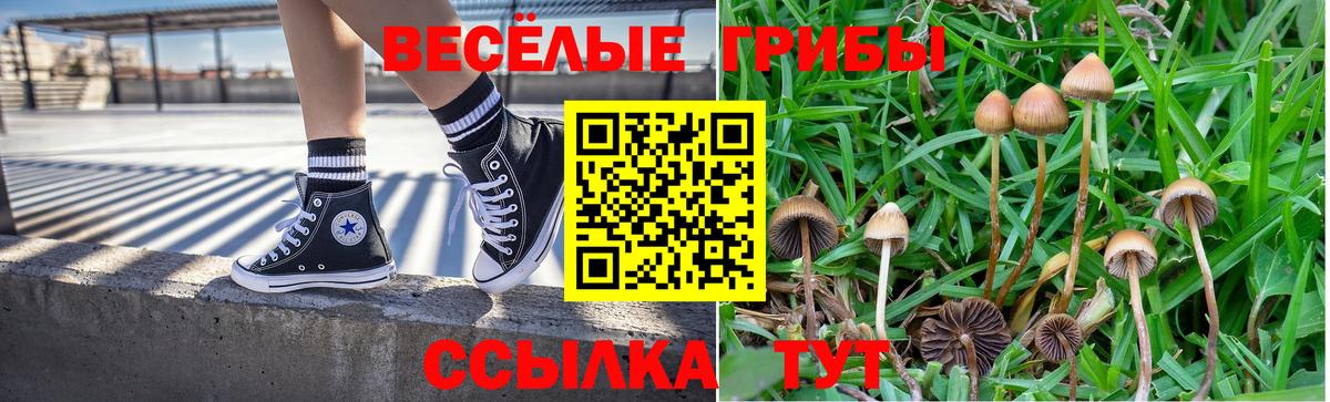 где можно купить   Галлюциногенные грибы ЛСД  Вход с VPN  Псилоцибиновые грибы GOLDEN TEACHER  Барнаул 